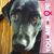 Julie Quinn's profile image
