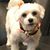 JoAnn Sanders's profile image