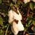 Margaret Erwin's profile image