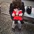 Marialise Champagne Maroun's profile image