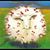 Karen Ann Kennedy's profile image