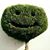 Brenda Lopez Davis's profile image