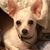 Marlys Holzrichter's profile image