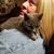Angie Bowman's profile image
