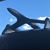 Dean Beattie's profile image