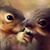 Donna Smith's profile image