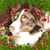 Sonja Oglesby Hull's profile image