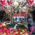 Jeanneth Sanchez Tirado's profile image