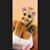 Joanna Elizabeth Rodriguez-Barreto's profile image