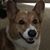 Darlene Difford's profile image
