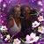 Connie Lackey-Black's profile image