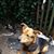 Sherri Hinkle's profile image