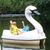 Christine Chartier McKenzie's profile image