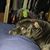 Mike Jones's profile image
