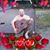 Justin Weaver's profile image