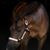 Michelle Zable's profile image