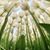 Kathryn Beal's profile image