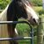 Necole Jones's profile image