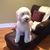 Karen Alletto's profile image