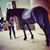 Claire Gelvin-Smith's profile image