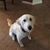 Jennifer Reed's profile image