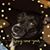 Vickie Smith's profile image