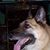 Ima Factor's profile image