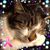 Charlene Miller's profile image