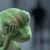 Scott Southard's profile image