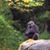 Jim Kapp's profile image