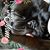 Susan Kuntz's profile image