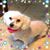 Steffanie Collins's profile image