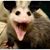 Debbie Heckman's profile image