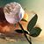 Luz Lopez's profile image