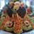 Driss Mouhieddine's profile image
