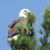 Elette Wilson's profile image