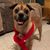 Katie Borka's profile image