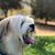 Rosana Wayman's profile image