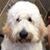 Lucinda Robinson Currie's profile image