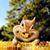 Marlo Patterson's profile image
