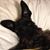 Kimberly Archer's profile image