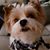 Kenny Fleiner's profile image