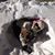 Diane Pinnow's profile image