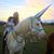 Julie Shematz's profile image