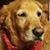 Bethany Kirwen's profile image