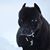 Deric Heisordt's profile image