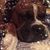 Marilyn Schenerman Logiudice's profile image