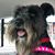 Jane Furlong's profile image