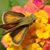 Karin Biega's profile image
