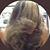 Tee Johnson's profile image